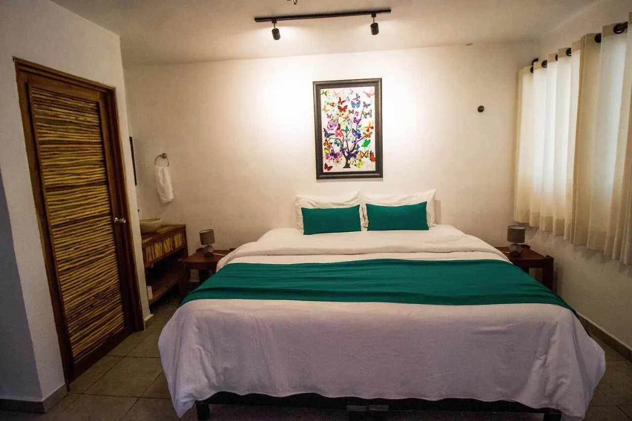 Hotel Tequila Cancun Alfredo V. Bonfil