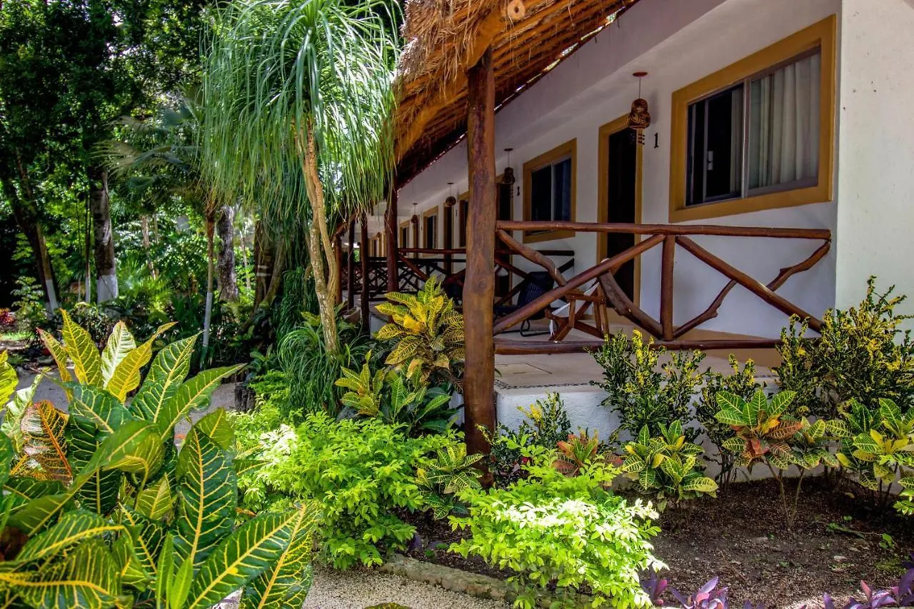 ****  Hotel Tequila Cancun Alfredo V. Bonfil Meksyk