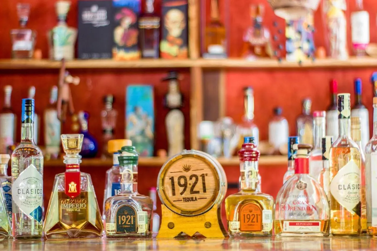 Hotel Tequila Cancun Alfredo V. Bonfil 4*,  メキシコ