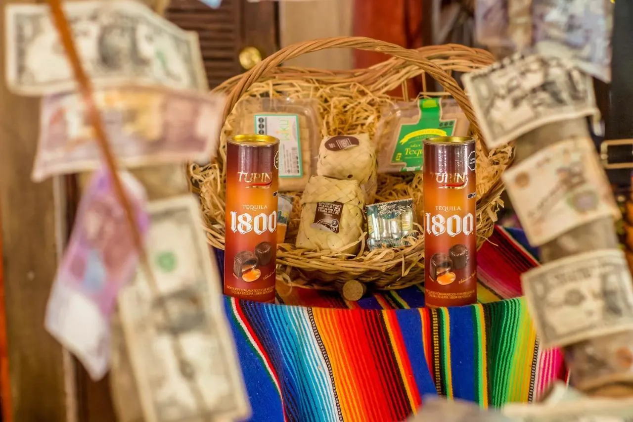 Hotel Tequila Cancun Alfredo V. Bonfil メキシコ