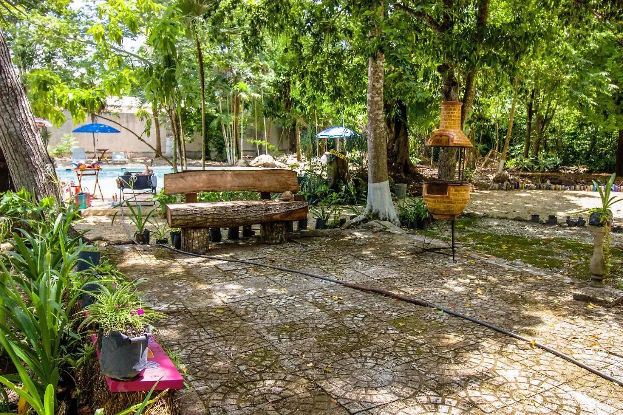 Hotel Tequila Cancun Alfredo V. Bonfil メキシコ